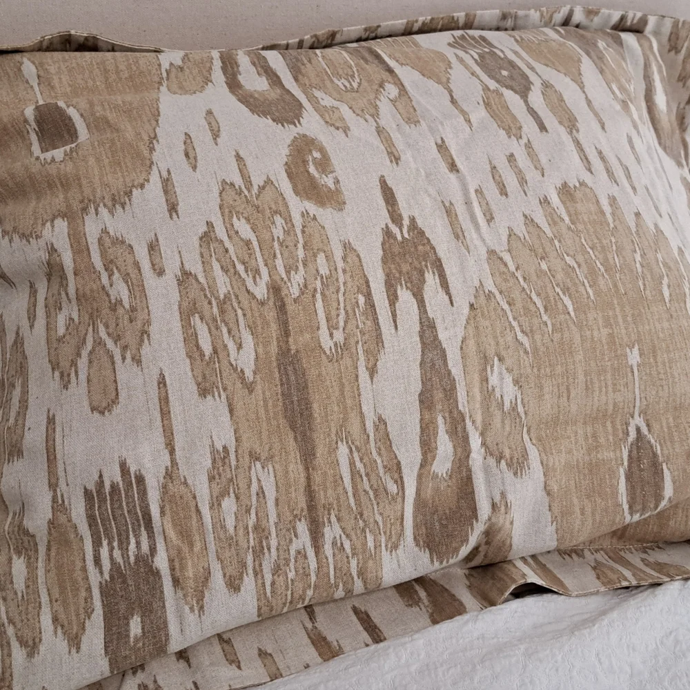 Pottery Barn Vivian Ikat Pillow Shams (2) Standard